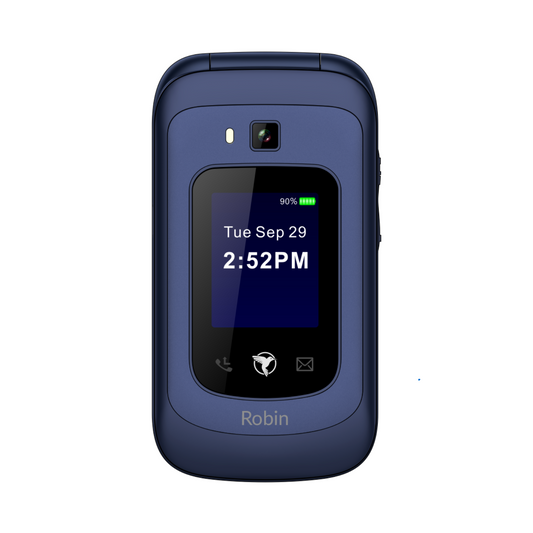 SUNBEAM F1 Horizon Robin – Limited audio
