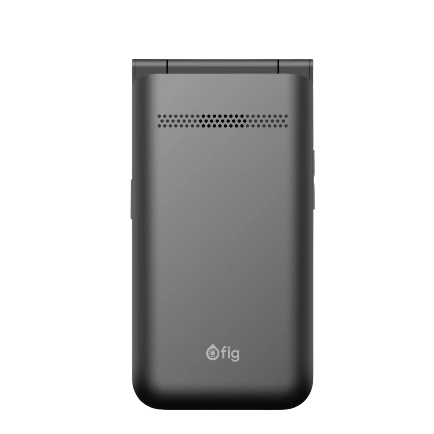 Fig Flip Basic F31 TALK ONLY