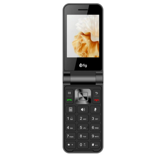 Fig Flip Basic F31 TALK ONLY